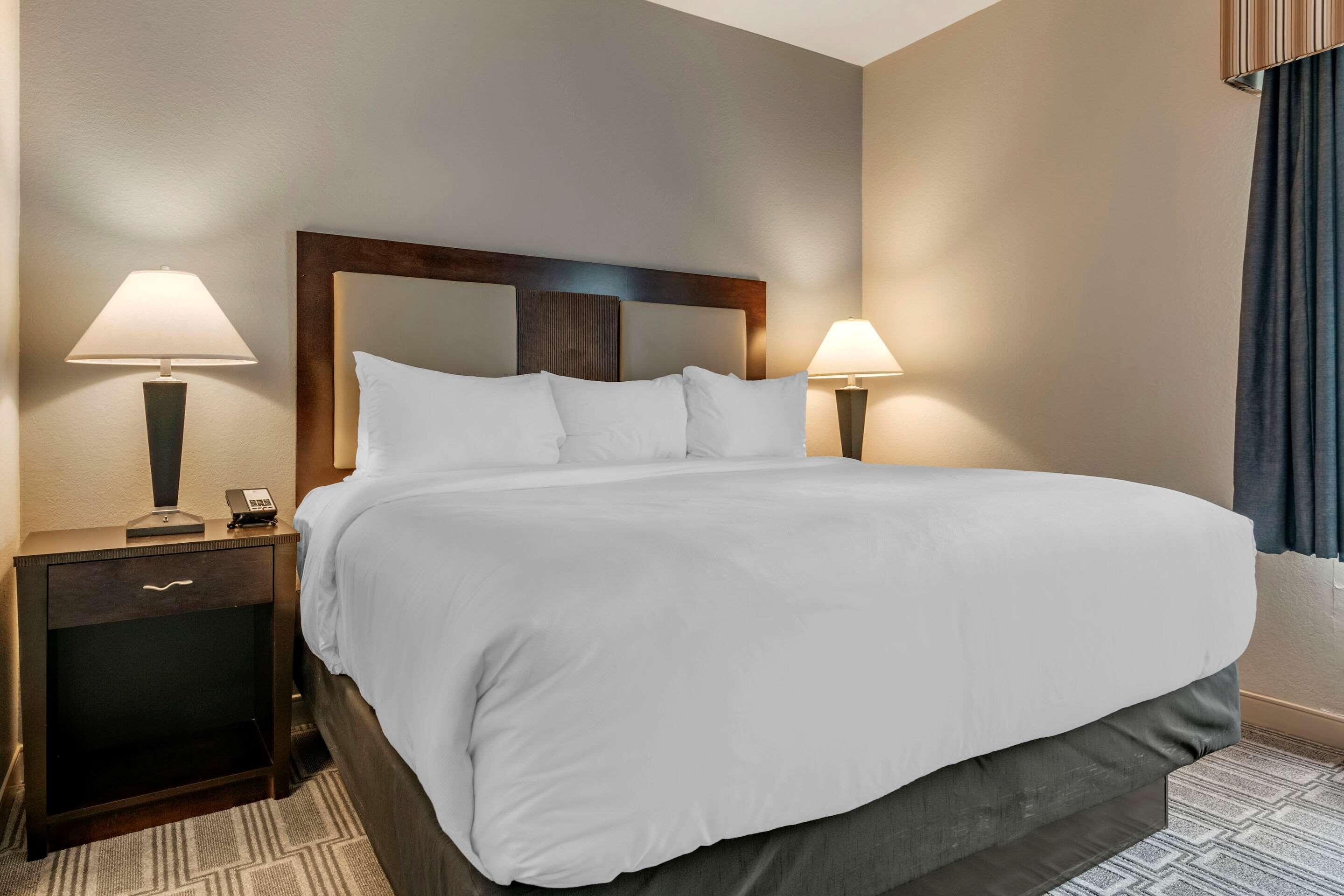 Comfort Inn & Suites Port Charlotte-Punta Gorda Kültér fotó